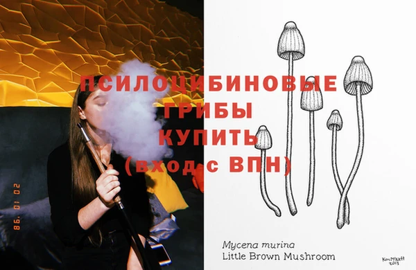 spice Арсеньев