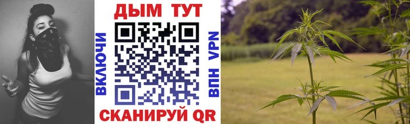Бошки марихуана план  Купить  Владимир 